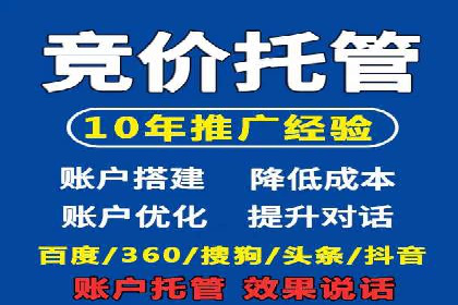 案例研究：SEM代运营服务公司的创新策略
